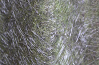 Berners Hill fibreglass roof work